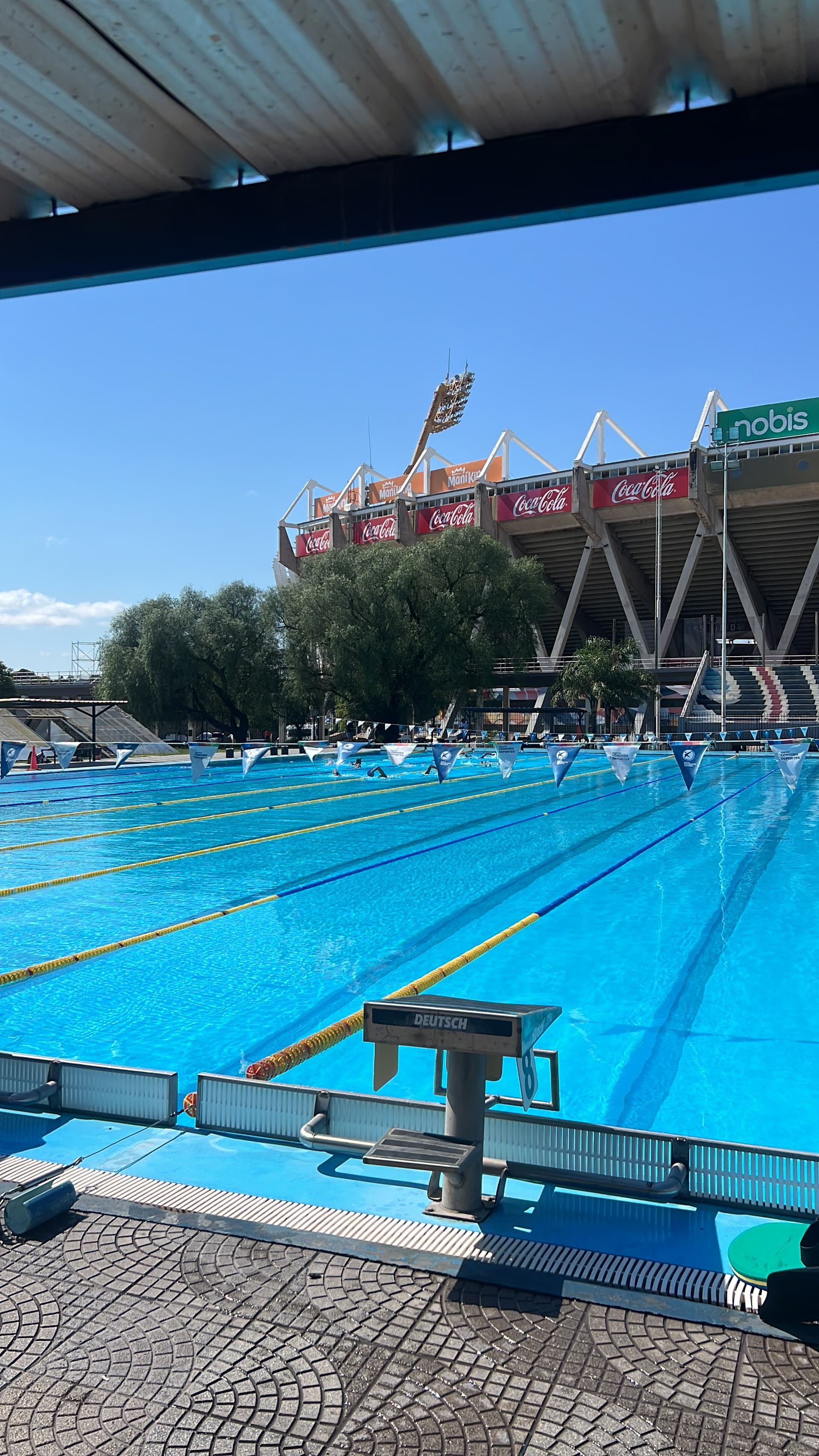 Natación